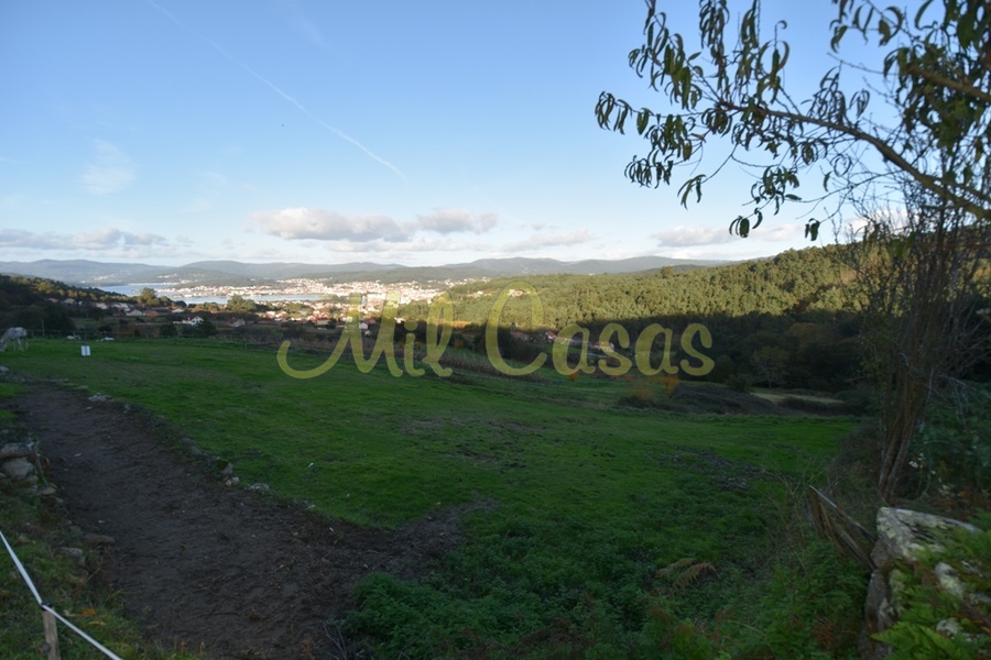 Dsc 8251 jpg
