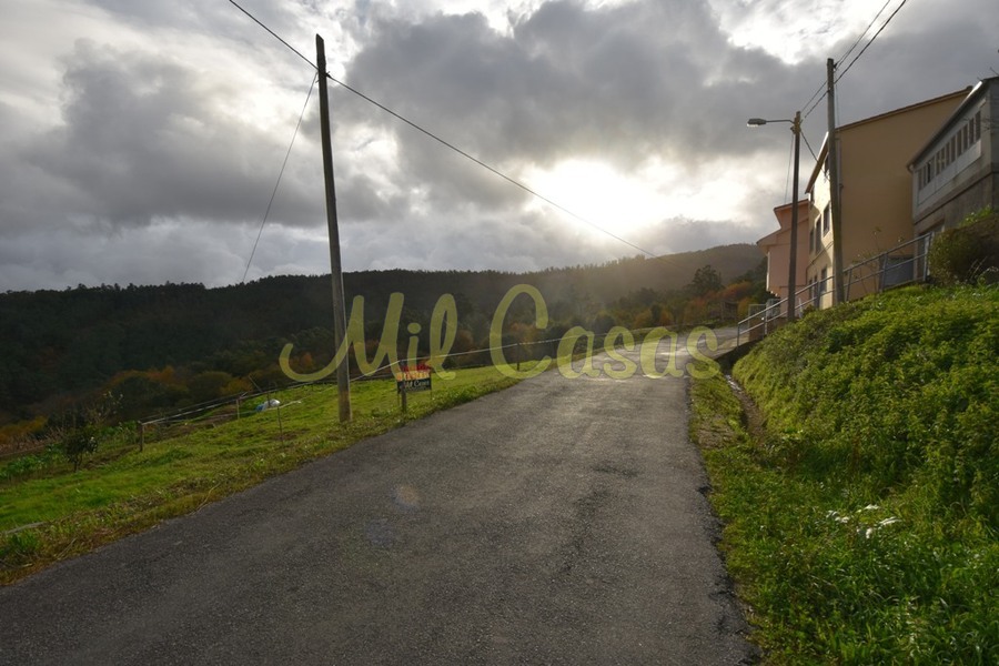 Dsc 8400 jpg