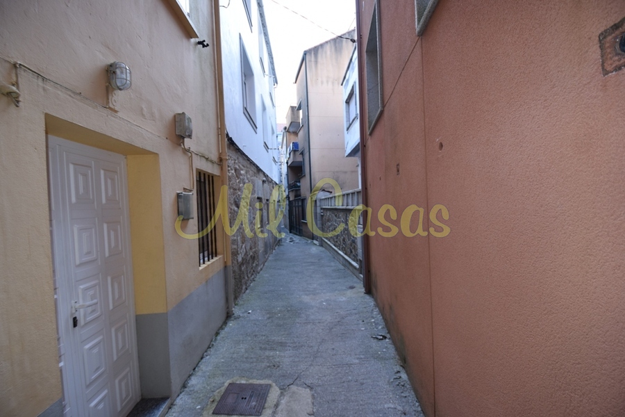 Dsc 1200 jpg