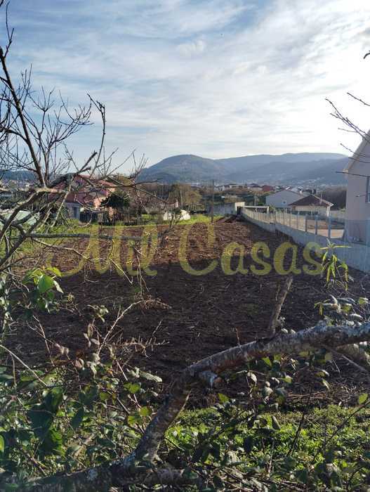 Imagen de whatsapp 2023 11 22 a las 16 44 11 4afa6974
