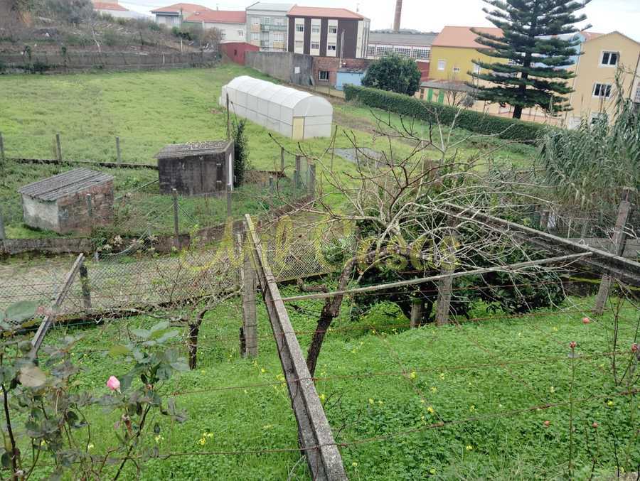 Jardin1