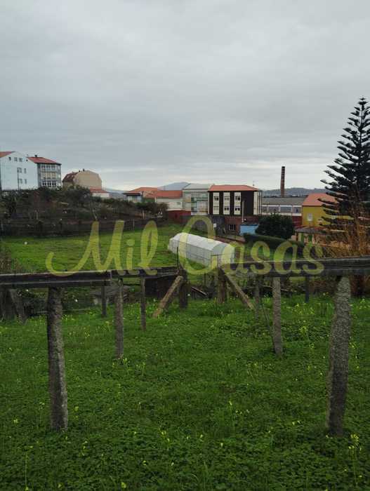 Jardin2