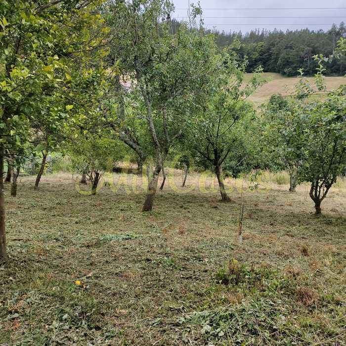 Img 20250702 wa0018