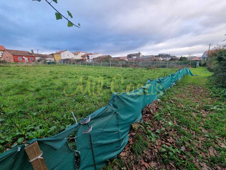 Whatsapp image 2025 12 23 at 16 55 32 1 