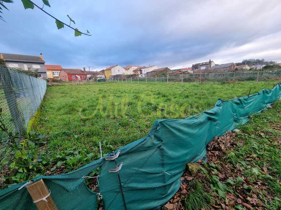 Whatsapp image 2025 12 23 at 16 55 32 3 