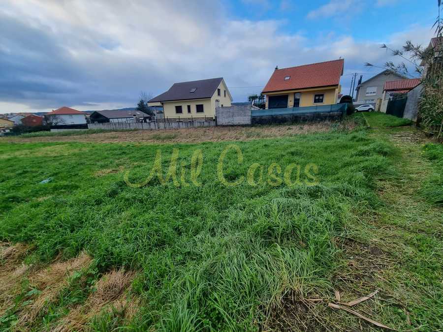 Whatsapp image 2025 12 23 at 16 44 01 1 