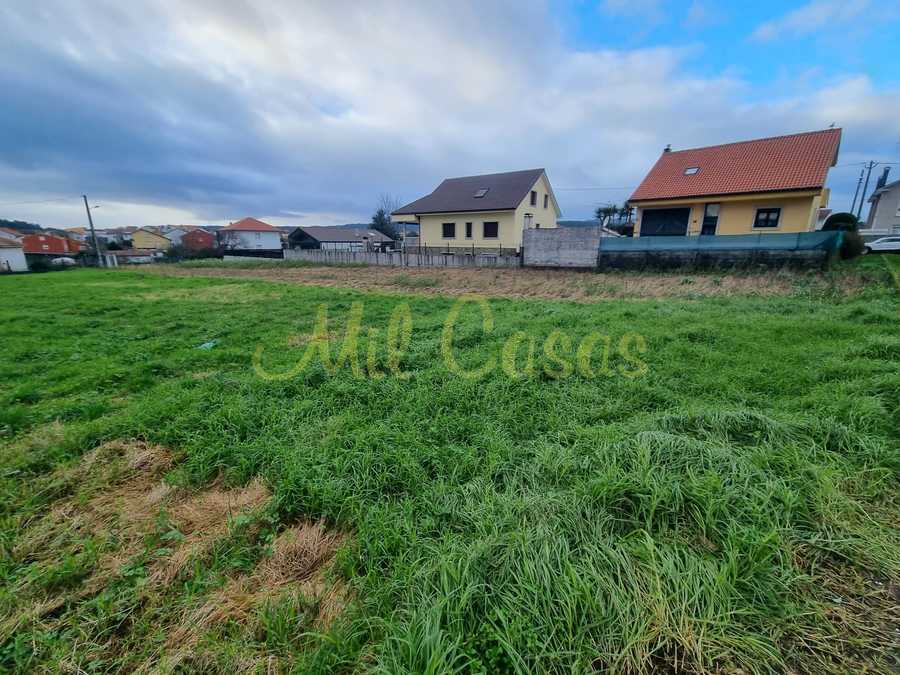 Whatsapp image 2025 12 23 at 16 44 01