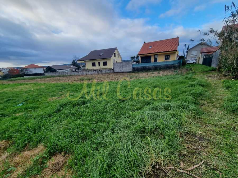 Whatsapp image 2025 12 23 at 16 44 02