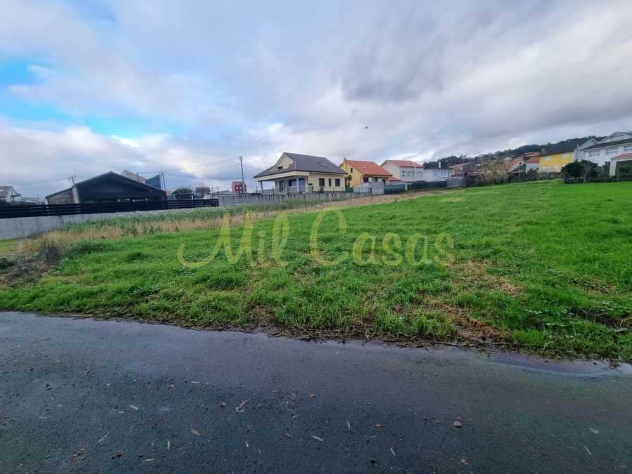 Whatsapp image 2025 12 23 at 16 44 06 1 