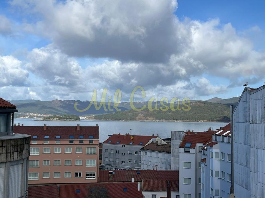 Whatsapp image 2026 02 14 at 13 21 19