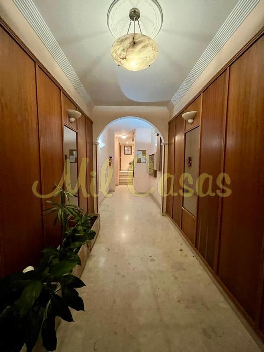 P xenaro carrero 15 4 