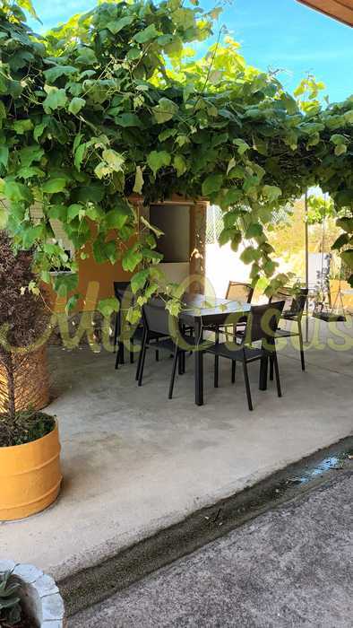 Patio1