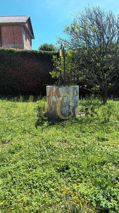 Pozo solo decorativo