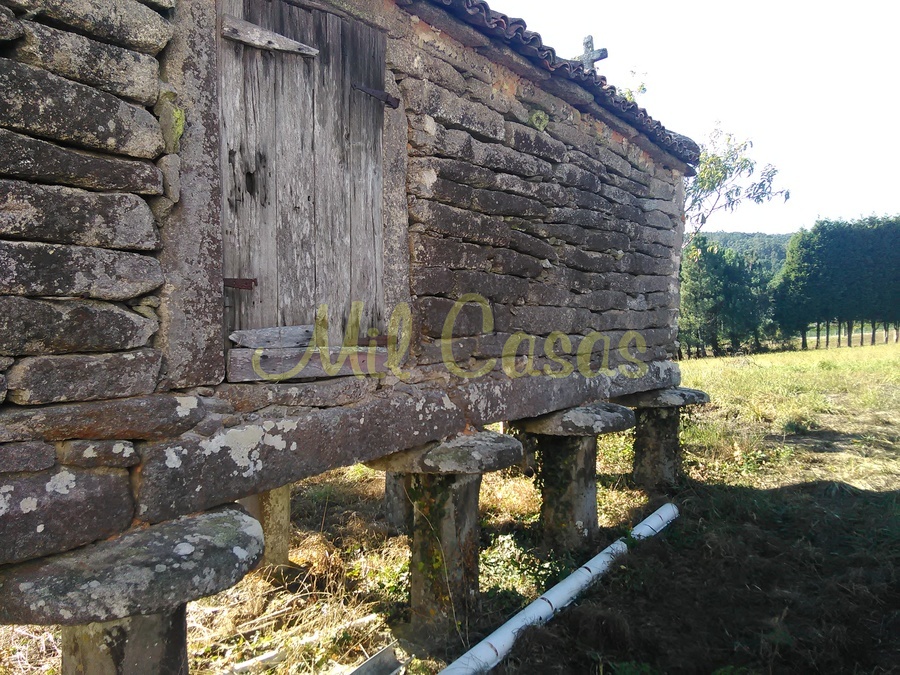 Img 20180925 174029