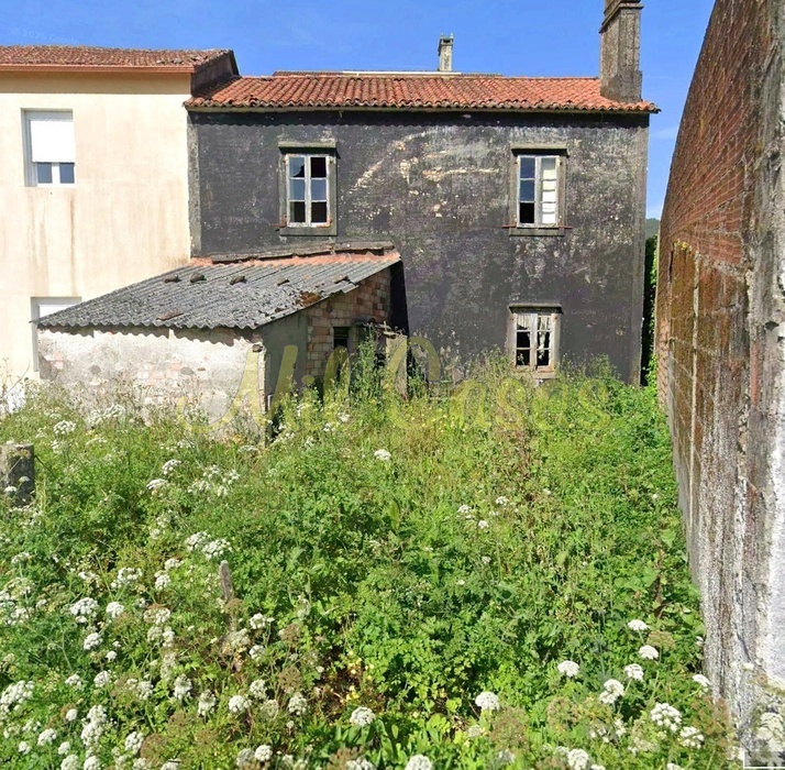 Fachada posterior y finca